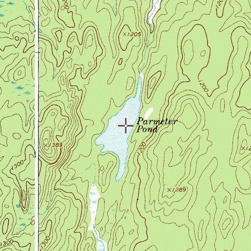 Topographic Map of Parmeter Pond, NY