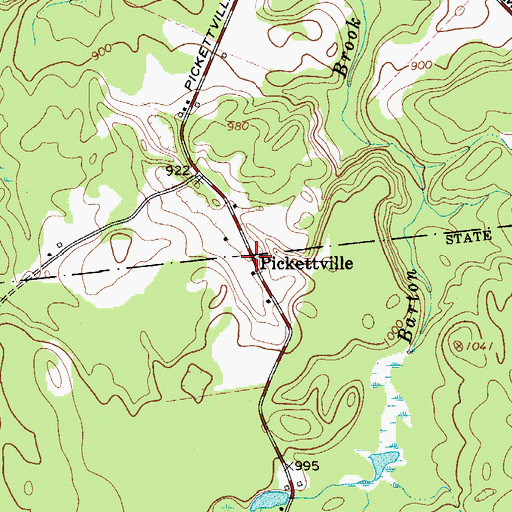 Topographic Map of Pickettville, NY