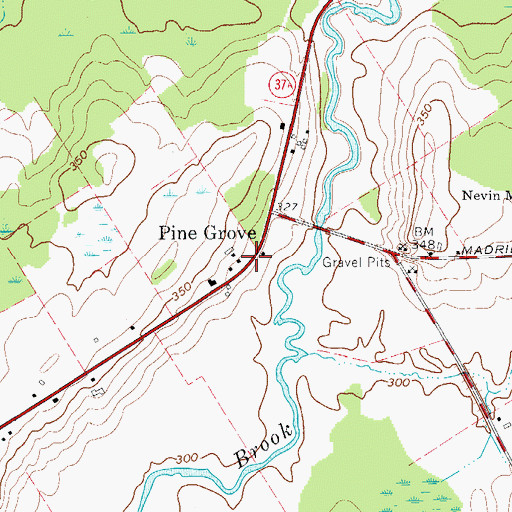 Topographic Map of Pine Grove, NY