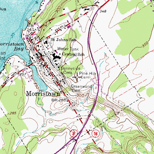Topographic Map of Pine Hill Cemetery, NY