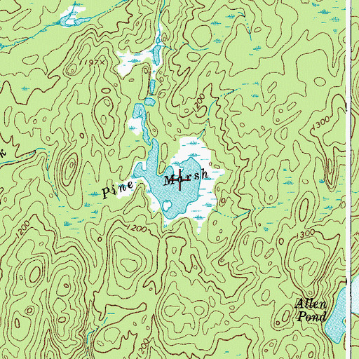 Topographic Map of Pine Marsh, NY