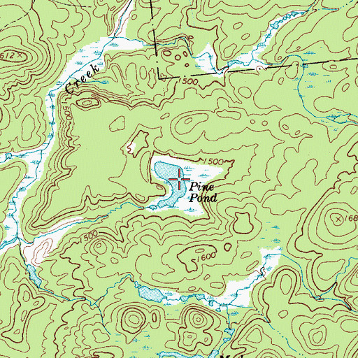Topographic Map of Pine Pond, NY