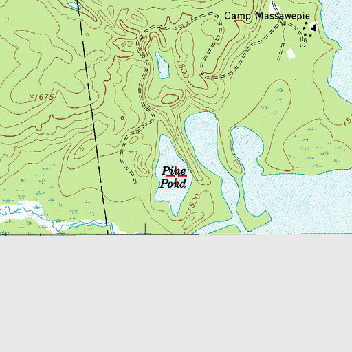 Topographic Map of Pine Pond, NY
