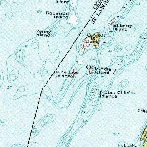 Topographic Map of Pine Tree Island, NY