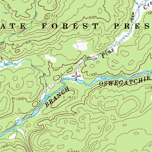Topographic Map of Pins Creek, NY