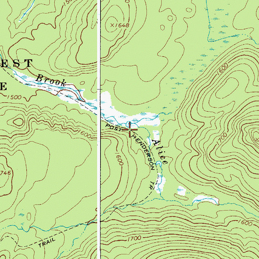 Topographic Map of Post Henderson Trail, NY