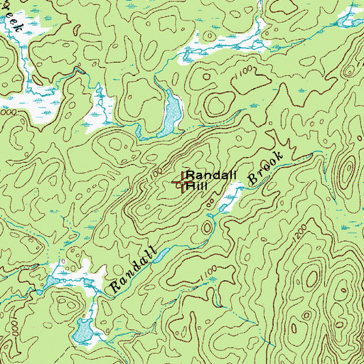 Topographic Map of Randall Hill, NY