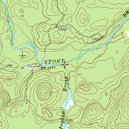 Topographic Map of Randle Meadow Brook, NY
