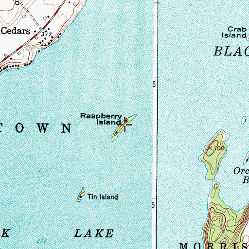 Topographic Map of Raspberry Island, NY
