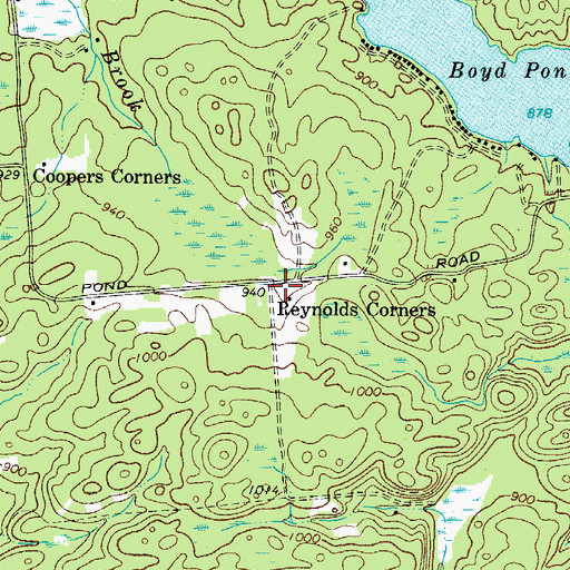 Topographic Map of Reynolds Corners, NY