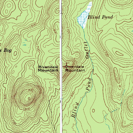 Topographic Map of Riverdale Mountain, NY