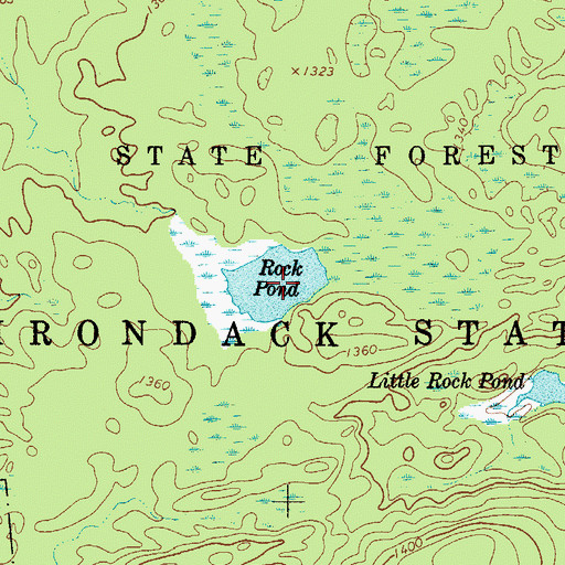 Topographic Map of Rock Pond, NY