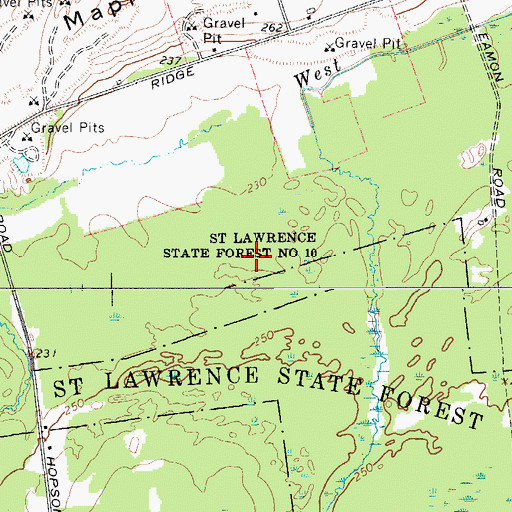 Topographic Map of Saint Lawrence State Forest Number 10, NY