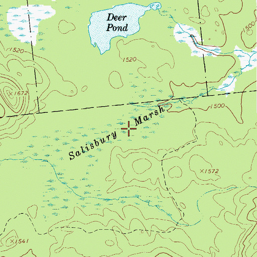 Topographic Map of Salisbury Marsh, NY