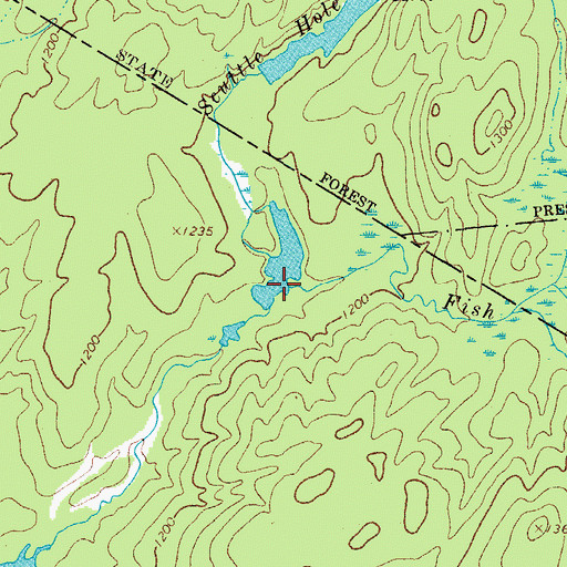 Topographic Map of Scuttle Hole Creek, NY