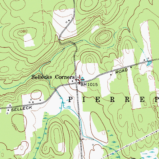 Topographic Map of Sellecks Corners, NY