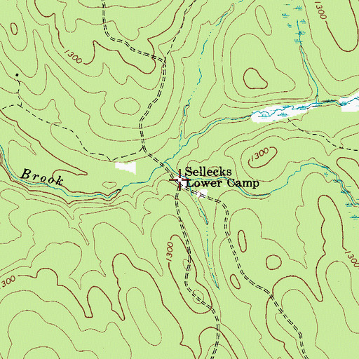 Topographic Map of Sellecks Lower Camp, NY