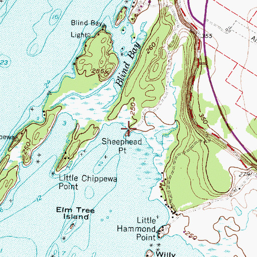 Topographic Map of Sheephead Point, NY