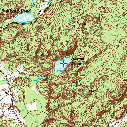 Topographic Map of Shiner Pond, NY