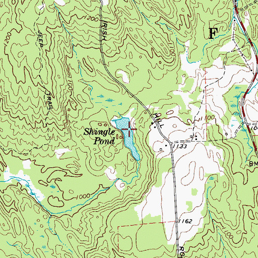 Topographic Map of Shingle Pond, NY