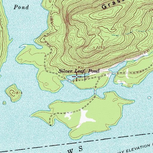 Topographic Map of Silver Leaf Pond, NY