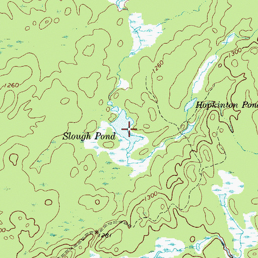 Topographic Map of Slough Pond, NY