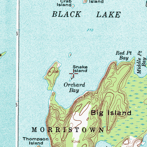 Topographic Map of Snake Island, NY