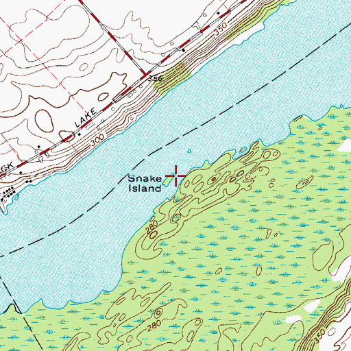 Topographic Map of Snake Island, NY