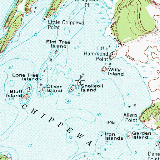 Topographic Map of Snakeoil Island, NY