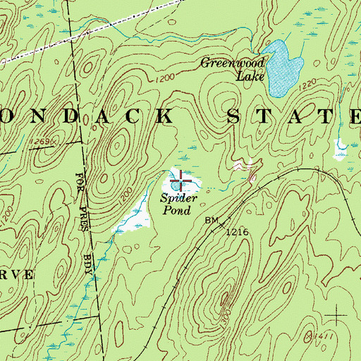 Topographic Map of Spider Pond, NY