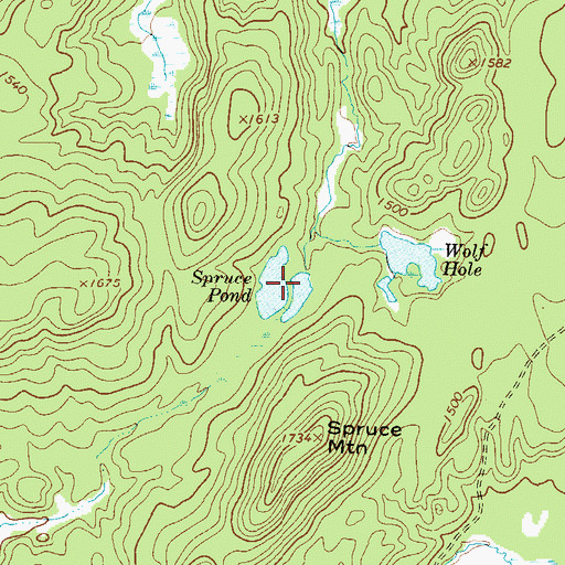 Topographic Map of Spruce Pond, NY