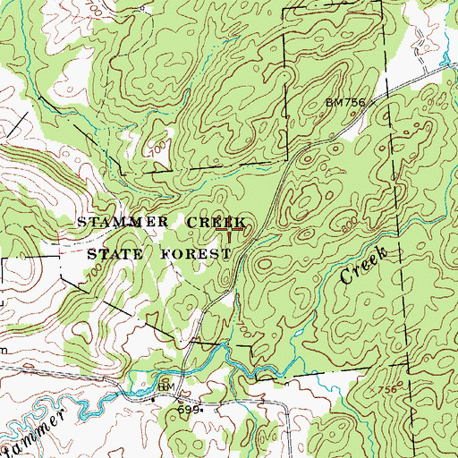 Topographic Map of Stammer Creek State Forest, NY