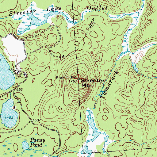 Topographic Map of Streeter Mountain, NY