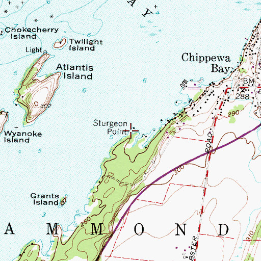 Topographic Map of Sturgeon Point, NY
