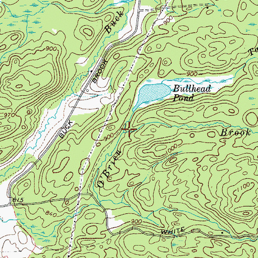 Topographic Map of Tamarack Branch, NY