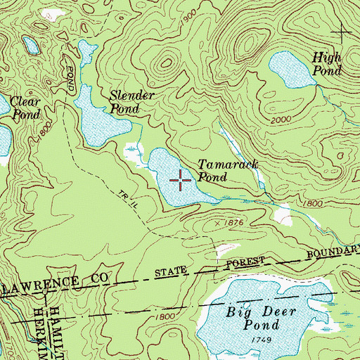 Topographic Map of Tamarack Pond, NY
