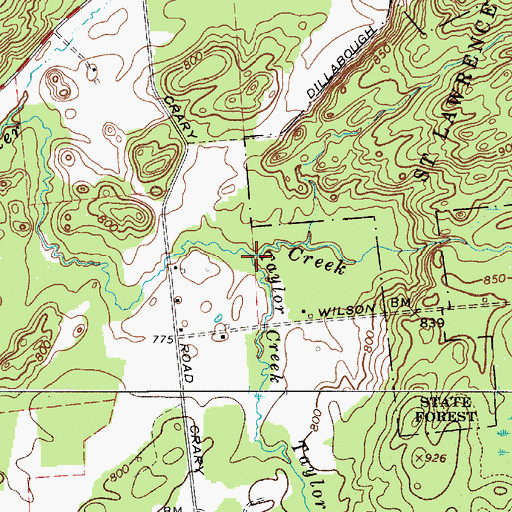 Topographic Map of Taylor Creek, NY