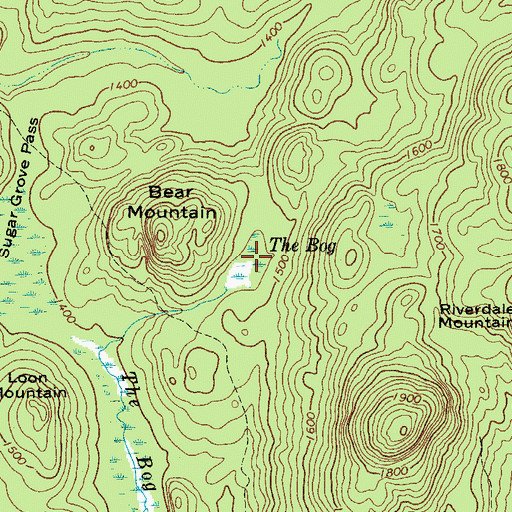 Topographic Map of The Bog, NY