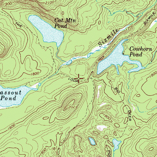 Topographic Map of The Loop, NY