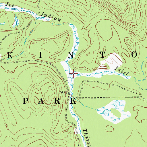 Topographic Map of Thirtyfive Outlet, NY