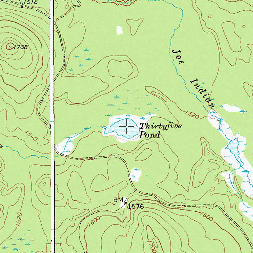 Topographic Map of Thirtyfive Pond, NY