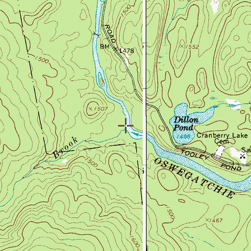 Topographic Map of Thomas Brook, NY