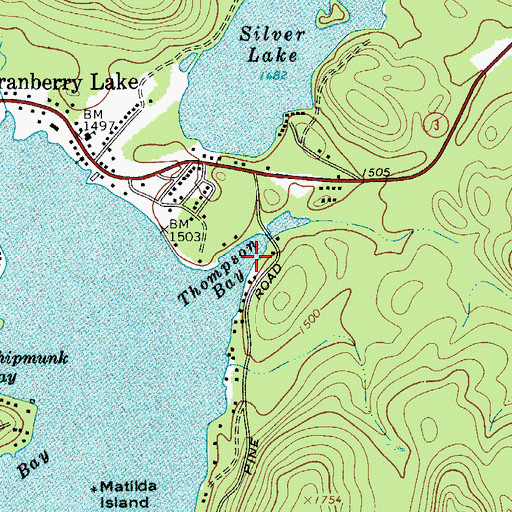 Topographic Map of Thompson Bay, NY