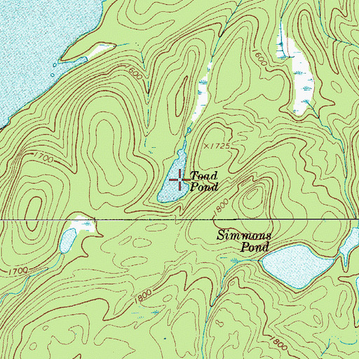 Topographic Map of Toad Pond, NY