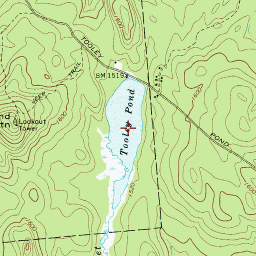 Topographic Map of Tooley Pond, NY