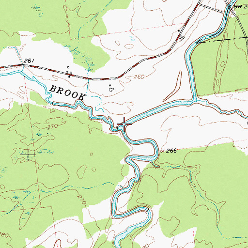 Topographic Map of Trout Brook, NY