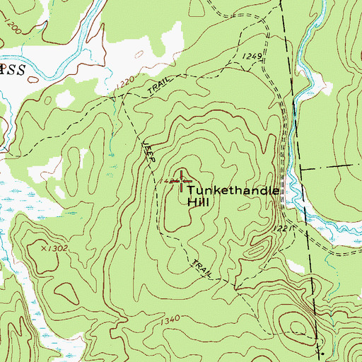 Topographic Map of Tunkethandle Hill, NY