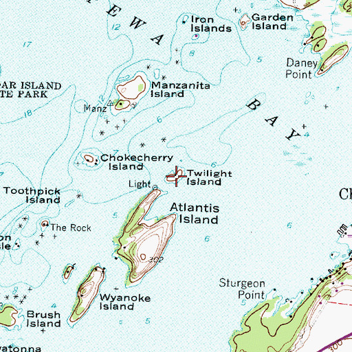 Topographic Map of Twilight Island, NY