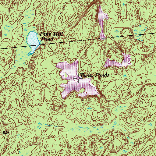 Topographic Map of Twin Ponds, NY