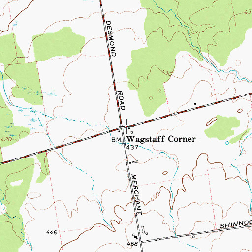 Topographic Map of Wagstaff Corner, NY